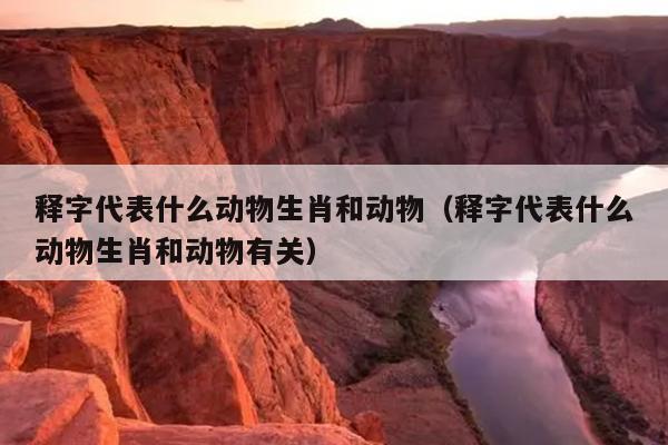 释字代表什么动物生肖和动物（释字代表什么动物生肖和动物有关）