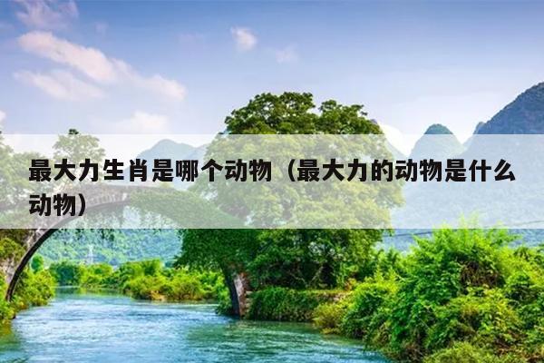 最大力生肖是哪个动物（最大力的动物是什么动物）