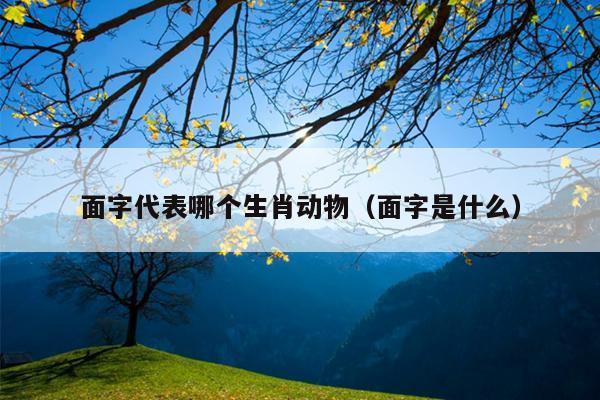 面字代表哪个生肖动物（面字是什么）