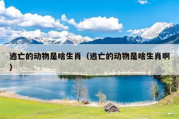 逃亡的动物是啥生肖（逃亡的动物是啥生肖啊）