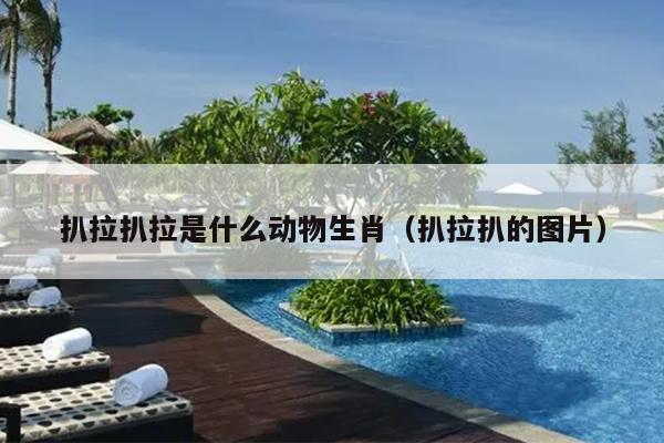 扒拉扒拉是什么动物生肖（扒拉扒的图片）