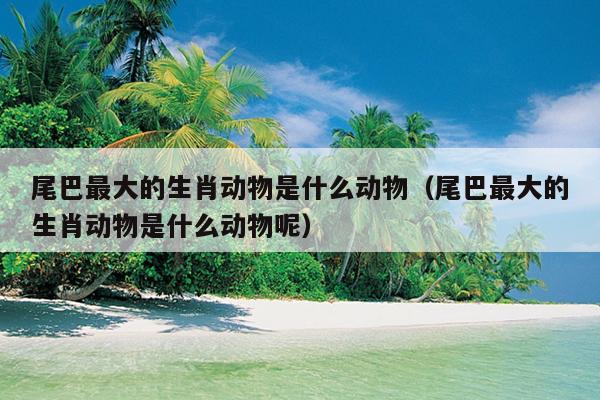 尾巴最大的生肖动物是什么动物（尾巴最大的生肖动物是什么动物呢）