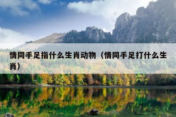 情同手足指什么生肖动物（情同手足打什么生肖）