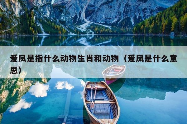 爱凤是指什么动物生肖和动物（爱凤是什么意思）