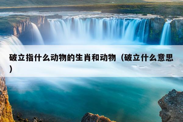 破立指什么动物的生肖和动物（破立什么意思）