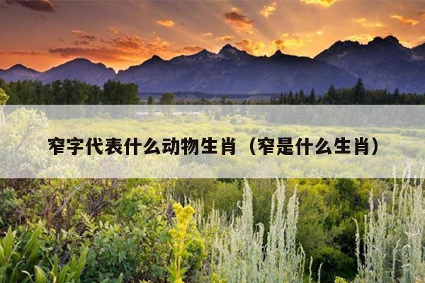 窄字代表什么动物生肖（窄是什么生肖）