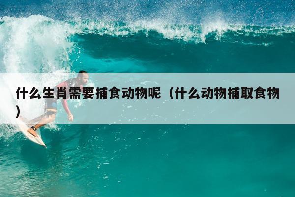 什么生肖需要捕食动物呢（什么动物捕取食物）