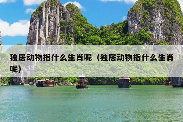 独居动物指什么生肖呢（独居动物指什么生肖呢）