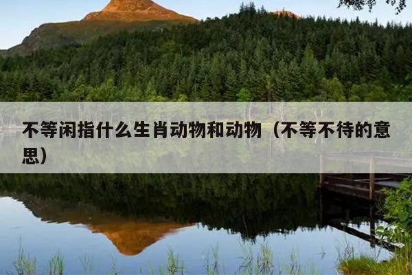 不等闲指什么生肖动物和动物（不等不待的意思）