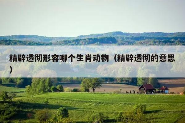 精辟透彻形容哪个生肖动物（精辟透彻的意思）