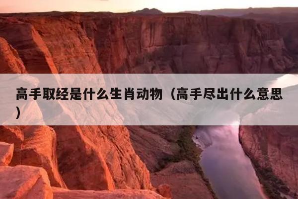 高手取经是什么生肖动物（高手尽出什么意思）
