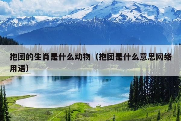 抱团的生肖是什么动物（抱团是什么意思网络用语）