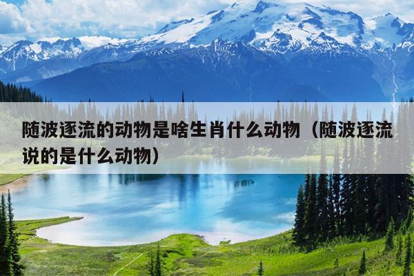 随波逐流的动物是啥生肖什么动物（随波逐流说的是什么动物）