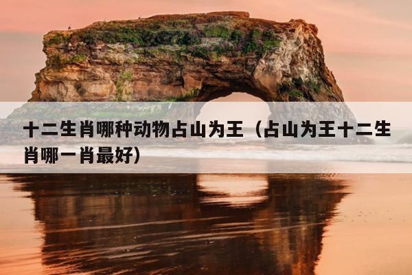 十二生肖哪种动物占山为王（占山为王十二生肖哪一肖最好）