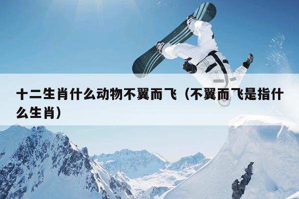 十二生肖什么动物不翼而飞（不翼而飞是指什么生肖）