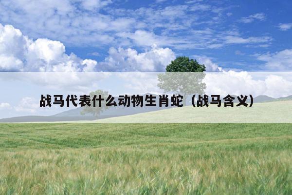 战马代表什么动物生肖蛇（战马含义）