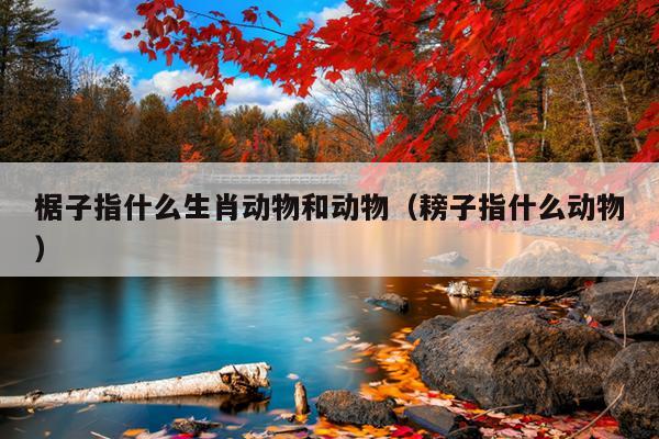 椐子指什么生肖动物和动物（耪子指什么动物）