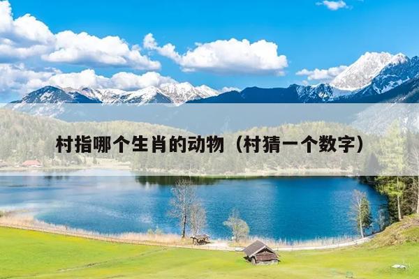 村指哪个生肖的动物（村猜一个数字）