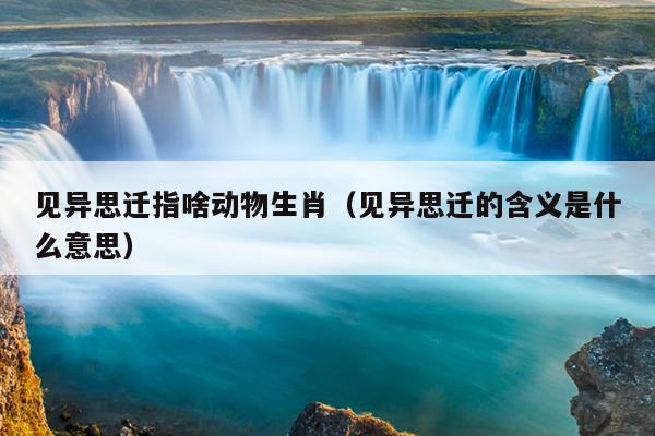 见异思迁指啥动物生肖（见异思迁的含义是什么意思）