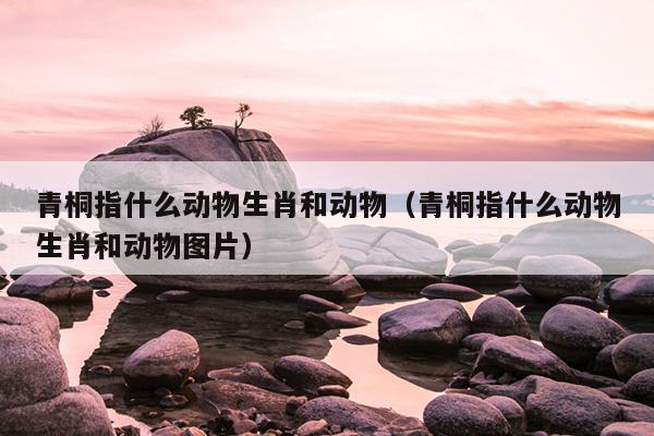 青桐指什么动物生肖和动物（青桐指什么动物生肖和动物图片）