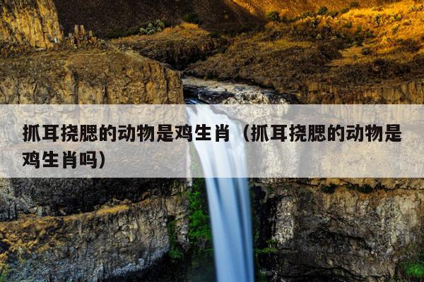 抓耳挠腮的动物是鸡生肖（抓耳挠腮的动物是鸡生肖吗）