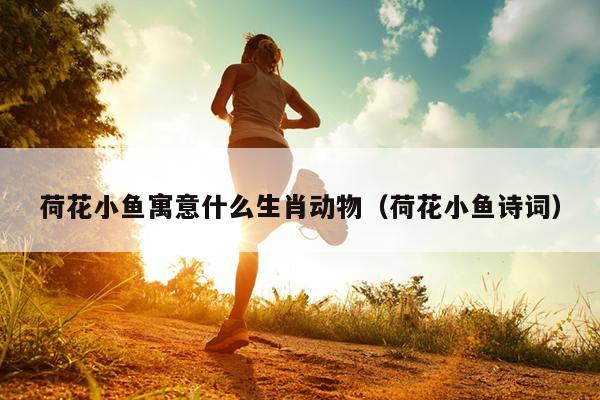 荷花小鱼寓意什么生肖动物（荷花小鱼诗词）