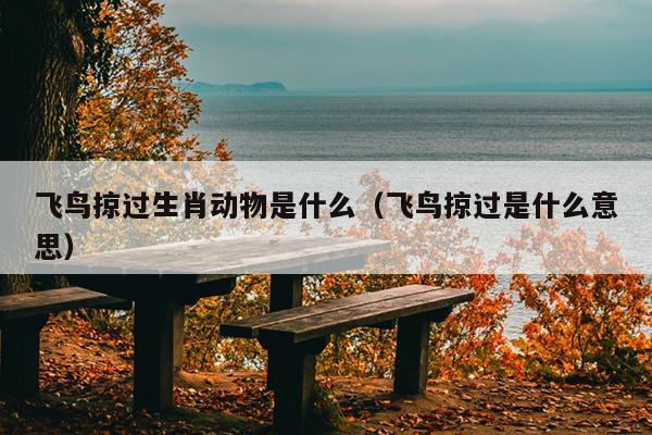 飞鸟掠过生肖动物是什么（飞鸟掠过是什么意思）