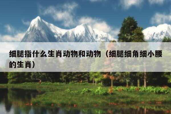 细腿指什么生肖动物和动物（细腿细角细小腰的生肖）