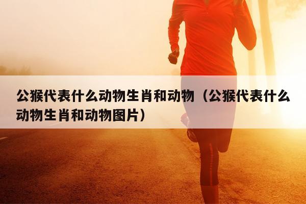 公猴代表什么动物生肖和动物（公猴代表什么动物生肖和动物图片）