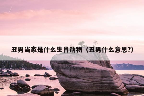 丑男当家是什么生肖动物（丑男什么意思?）