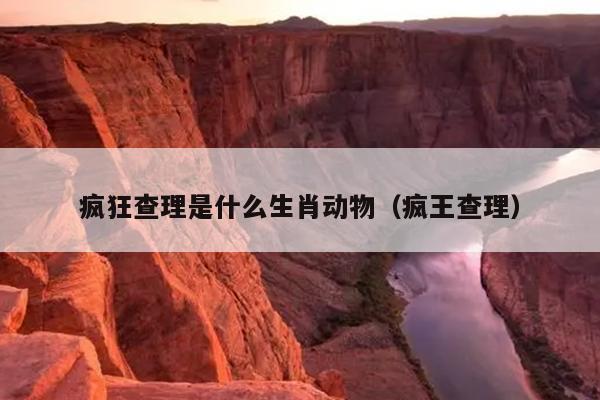 疯狂查理是什么生肖动物（疯王查理）