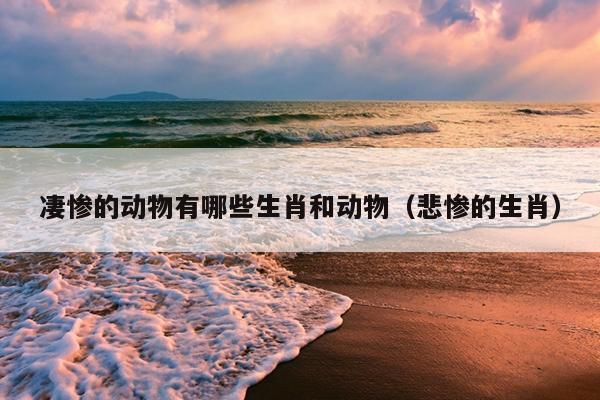 凄惨的动物有哪些生肖和动物（悲惨的生肖）