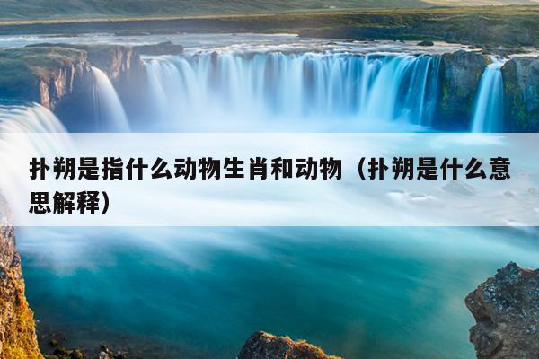 扑朔是指什么动物生肖和动物（扑朔是什么意思解释）