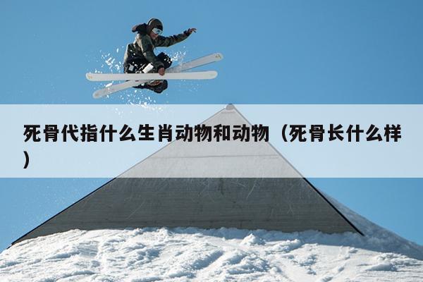 死骨代指什么生肖动物和动物（死骨长什么样）
