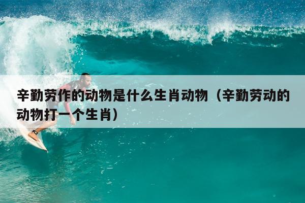 辛勤劳作的动物是什么生肖动物（辛勤劳动的动物打一个生肖）