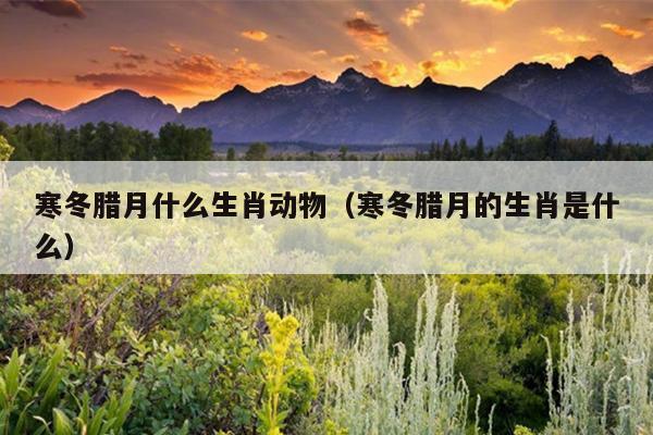寒冬腊月什么生肖动物（寒冬腊月的生肖是什么）