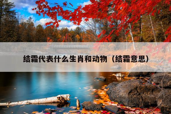 结霜代表什么生肖和动物（结霜意思）