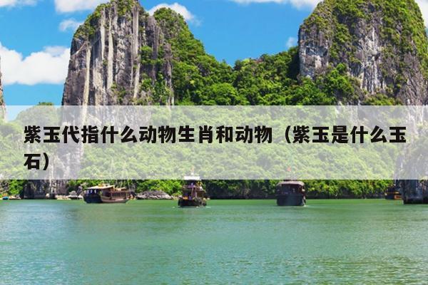 紫玉代指什么动物生肖和动物（紫玉是什么玉石）