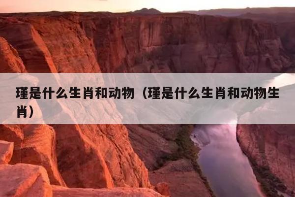 瑾是什么生肖和动物（瑾是什么生肖和动物生肖）
