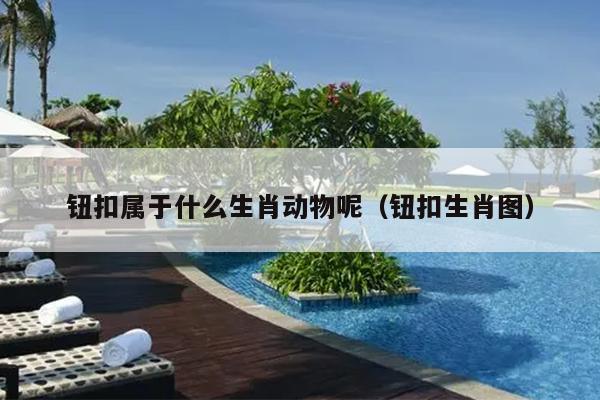 钮扣属于什么生肖动物呢（钮扣生肖图）