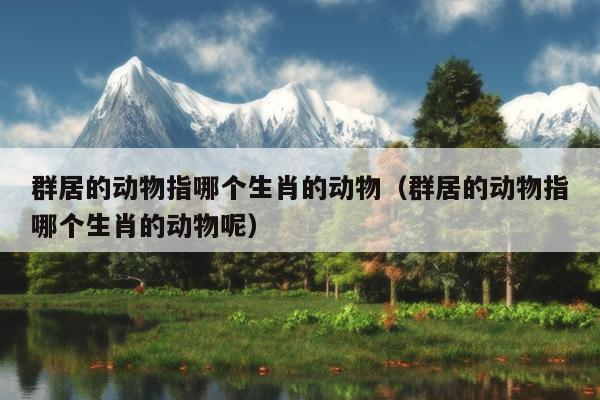 群居的动物指哪个生肖的动物（群居的动物指哪个生肖的动物呢）