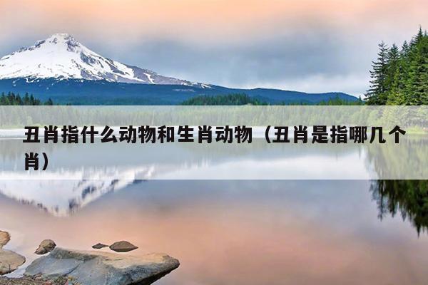 丑肖指什么动物和生肖动物（丑肖是指哪几个肖）