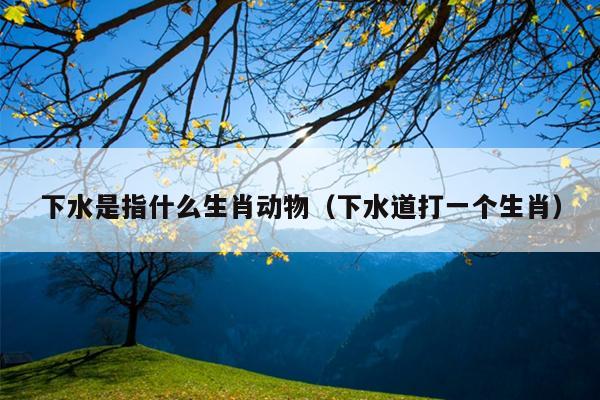 下水是指什么生肖动物（下水道打一个生肖）