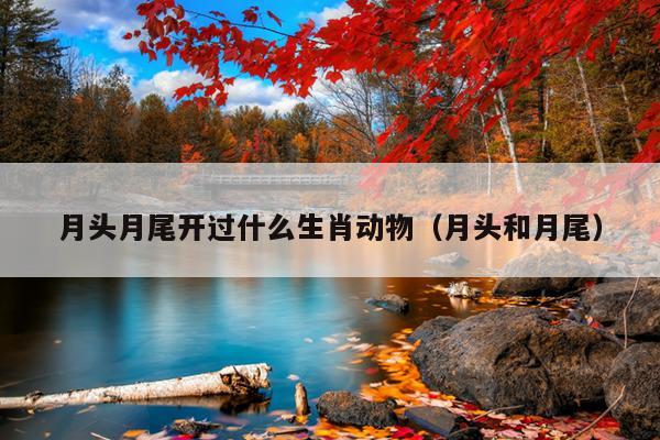 月头月尾开过什么生肖动物（月头和月尾）