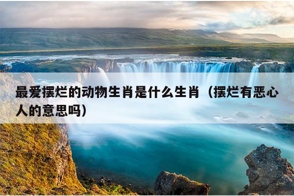 最爱摆烂的动物生肖是什么生肖（摆烂有恶心人的意思吗）