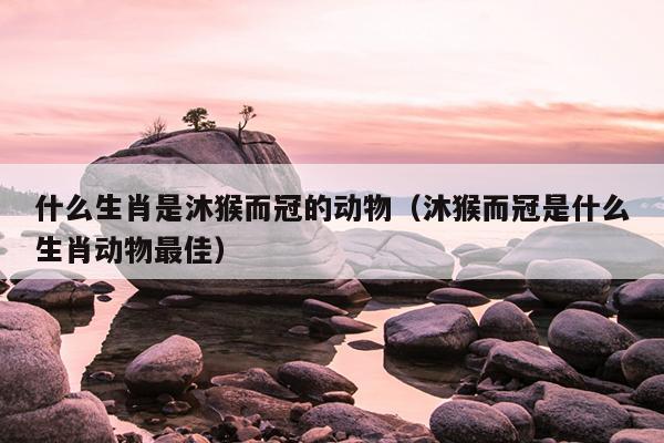 什么生肖是沐猴而冠的动物（沐猴而冠是什么生肖动物最佳）