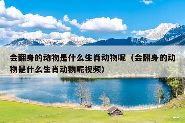 会翻身的动物是什么生肖动物呢（会翻身的动物是什么生肖动物呢视频）