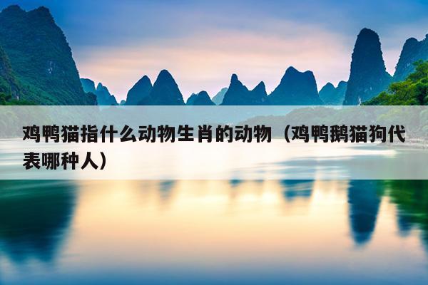 鸡鸭猫指什么动物生肖的动物（鸡鸭鹅猫狗代表哪种人）