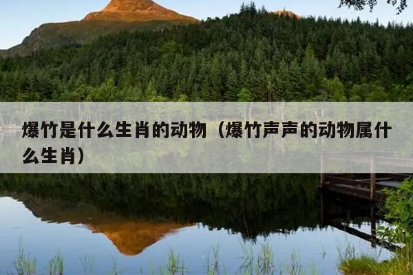 爆竹是什么生肖的动物（爆竹声声的动物属什么生肖）