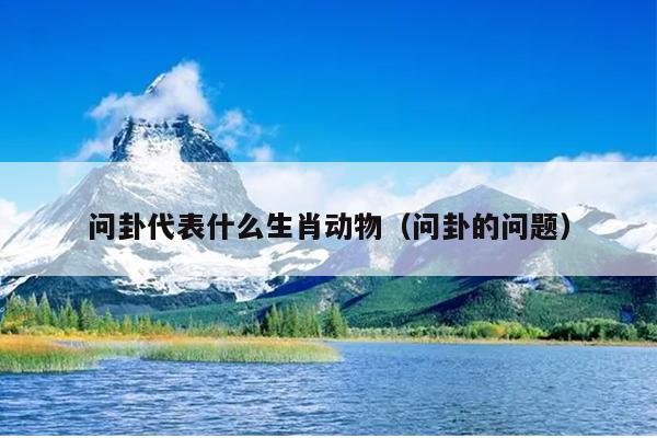 问卦代表什么生肖动物（问卦的问题）